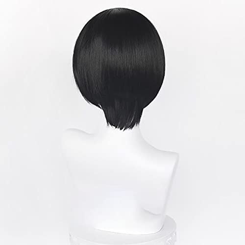 Wig Cosplay Mikasa Ada Pria Wa - Tech Accessories For Men ulasan dan harga
